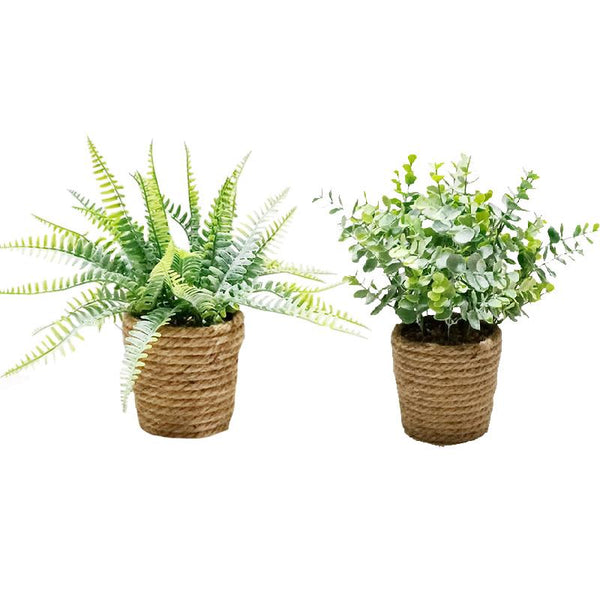 Two potted plants with jute pots on a white background