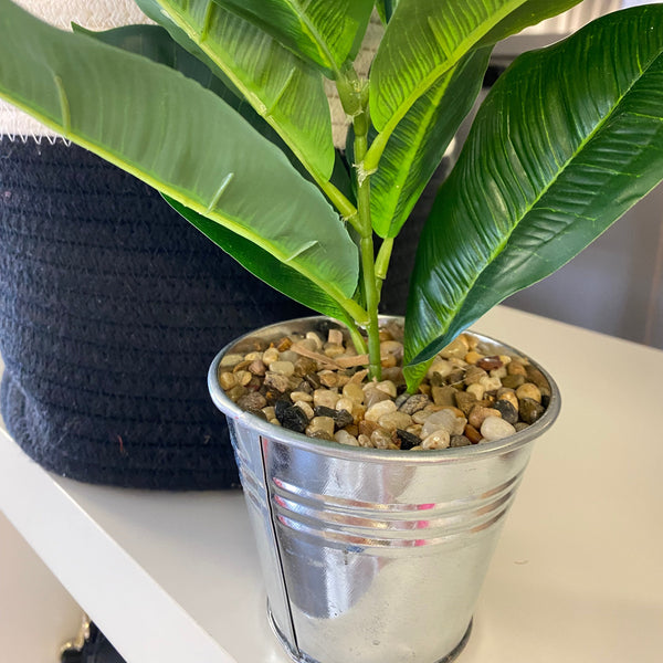 Metal bucket filled with small stones next to a green leafy plant
