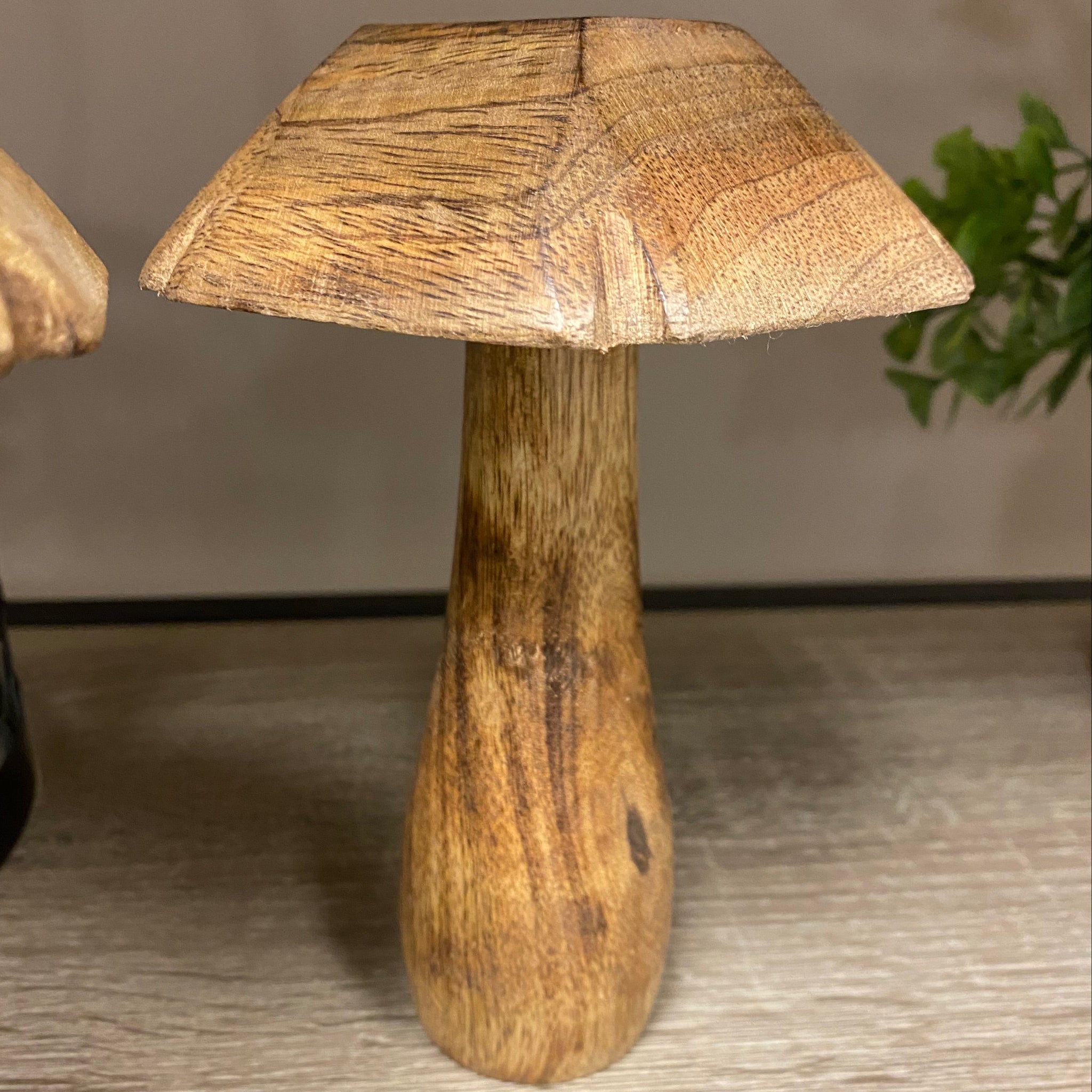 Wooden Mushroom