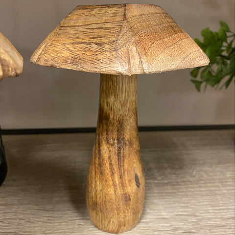Wooden Mushroom