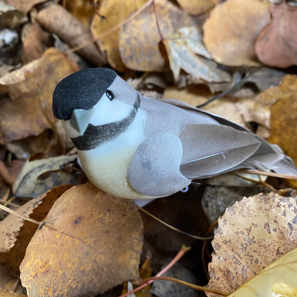 Small bird-like decoy on a bed of brown leaves