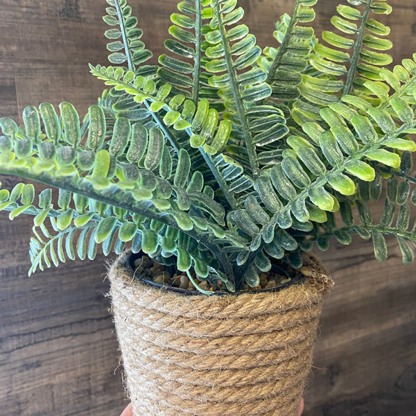 Fern plant in a woven pot on a wooden surface