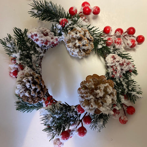 Frosted Mini Wreath