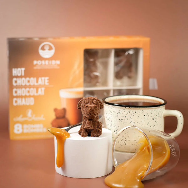 Hot Chocolate Bomb - Variety Pack