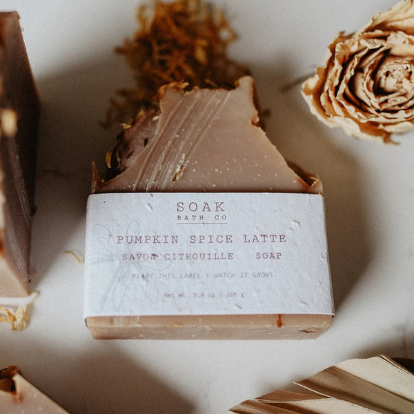 Pumpkin Spice Soap Bar