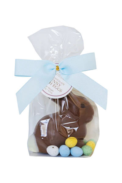 Chocolate bunny and eggs in clear packaging with a blue bow on a white background