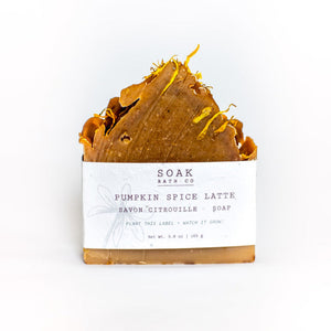 Pumpkin Spice Soap Bar