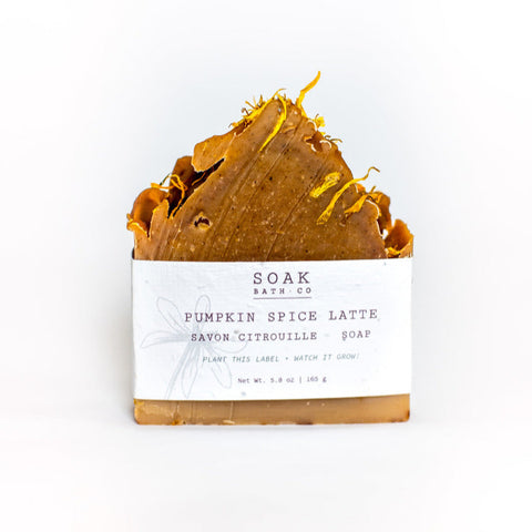 Pumpkin Spice Soap Bar