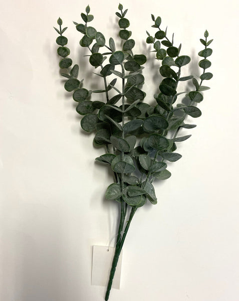 Green Eucalyptus Stem